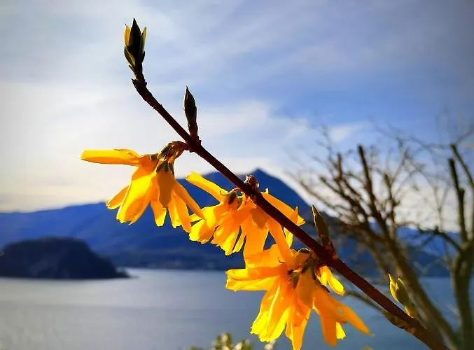 Ortensia - Perfect For Couple And Pets 펜션