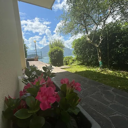 Ortensia - Perfect For Couple And Pets Hébergement de vacances *